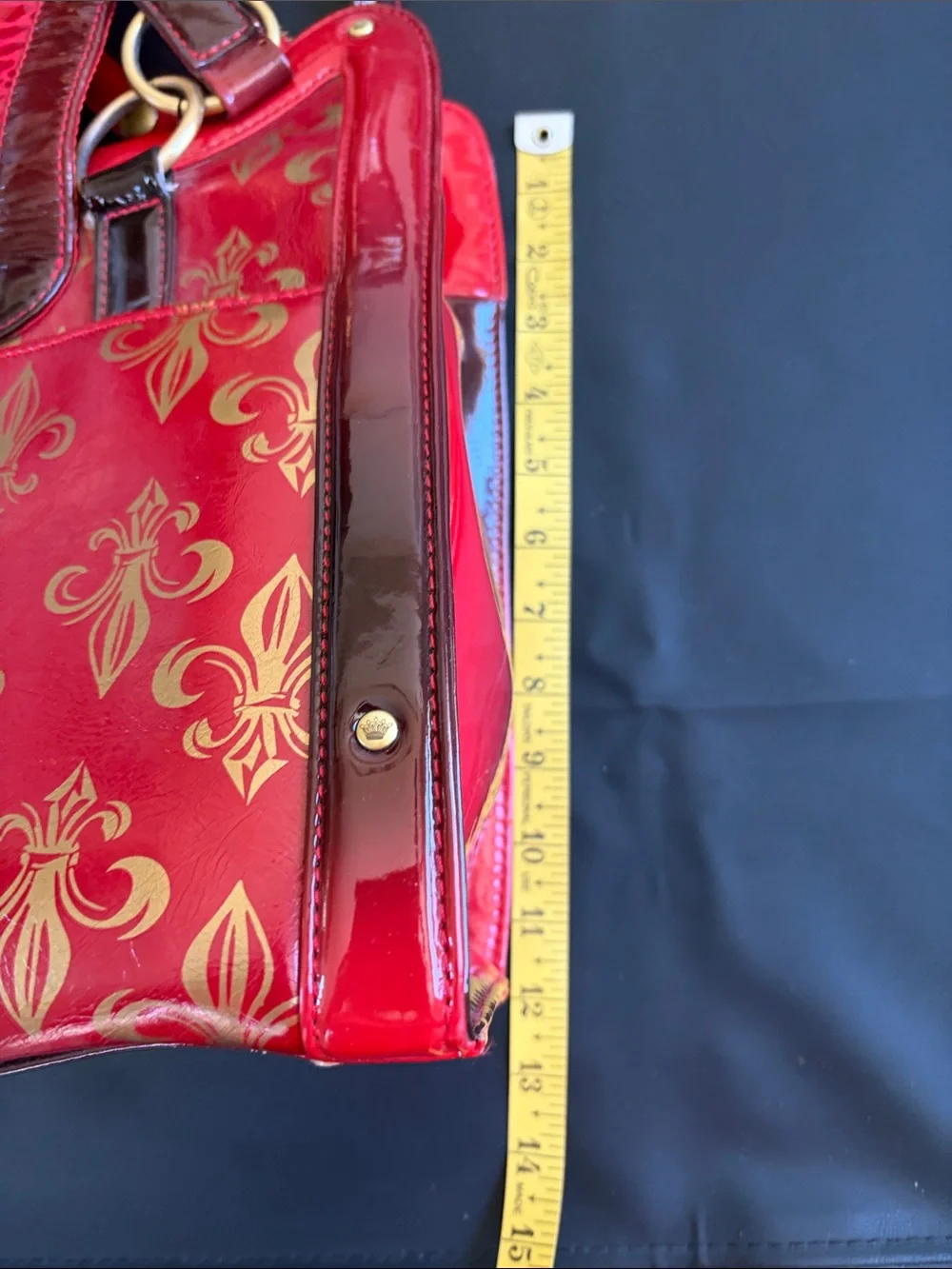 Chrome Bones Adrian Beyaz Fleur De CA Red Luxury Pet Carrier Dog Cat Travel NWT - Picture 10 of 15